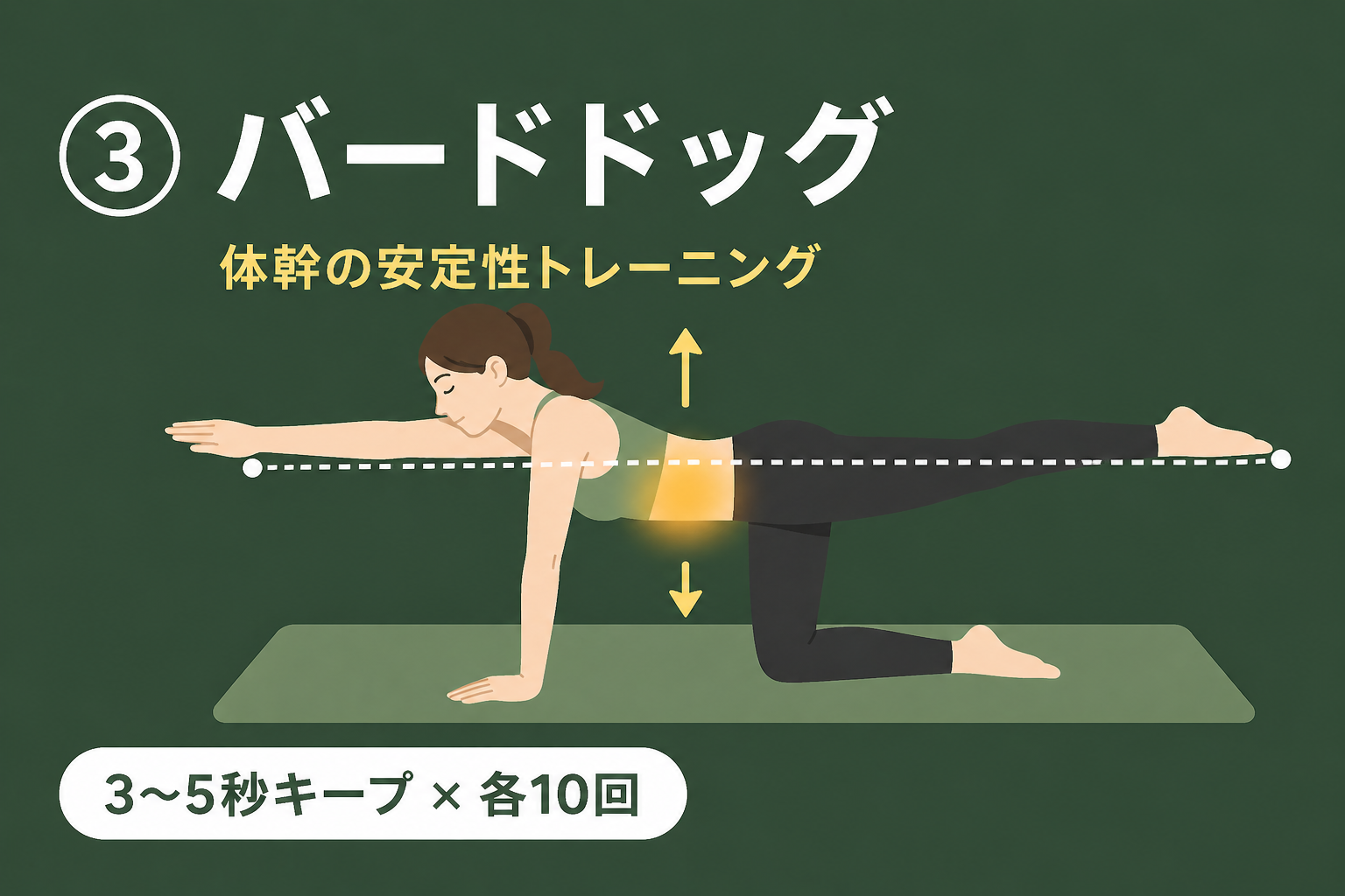バードドッグ｜腰痛予防体操③